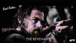 "The Revenant" filmindən görüntü