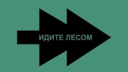 Время Свободы: "Не дайте их отправить под Курск". Проект "Идите лесом" обращается к родственникам срочников 