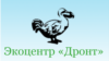 Экоцентр "Дронт" обжалует в ЕСПЧ статус "иностранного агента"